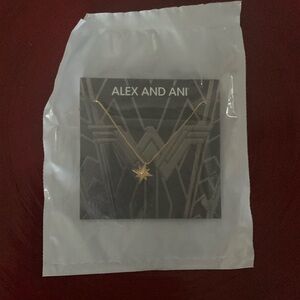 NWT ALEX AND ANI Wonder Woman Small Motif Star Necklace 14kt Gold plated